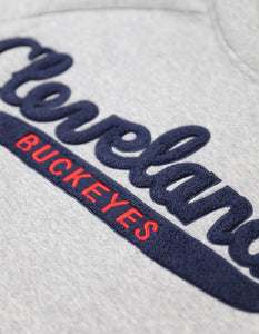 Cleveland Buckeyes Negro League Hoodie(Grey)