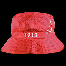 Delta Sigma Theta Bucket Hats